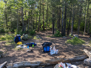 Campsite #1119