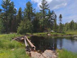 Logging dam on Moosecamp river