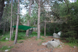 Campsite 1110