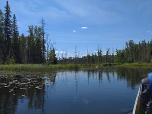 Range River end of portage