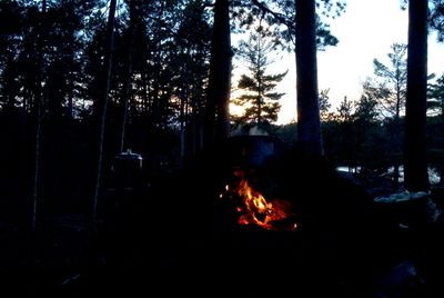 Con Island North Campsite campfire