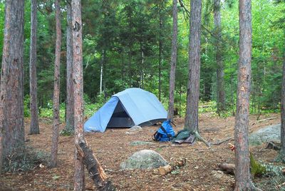 Con Island North Campsite tent