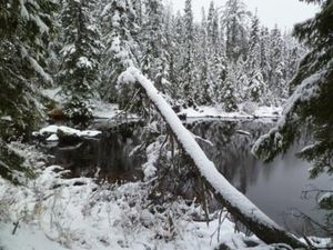 Superstition Lake in the Snow