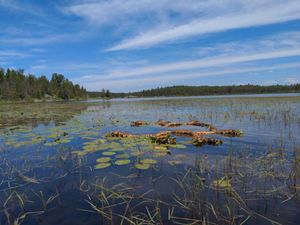 Shallows at end of Hula Lake