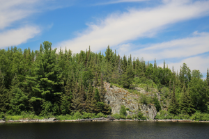 Cliff face