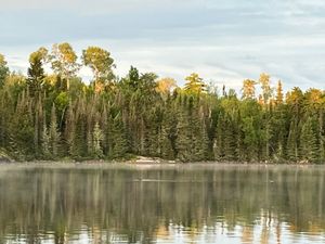 Gun Lake Shoreline South of Campsite