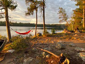 Gun Lake Campsite Hammock Tree on Water