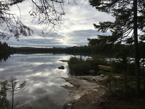 Gun lake NW site west view