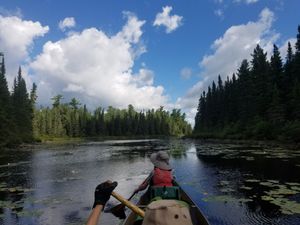 Bay before Long Island Lake