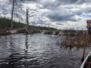 Beaver Dam