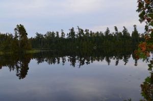 Horseshoe Lake camp view
