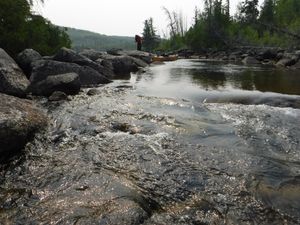 Stream_from_Magnetic_Lake_to_Pine_River1.JPG