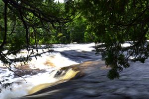 McAree Rapids