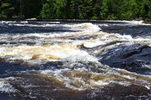 McAree Rapids