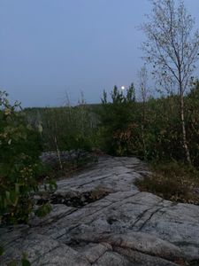 Moonrise at Campsite