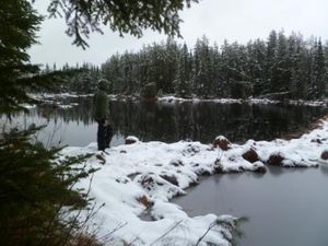 Beaver Dam in the Snow