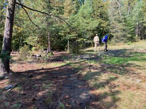 Campsite_on_Pine_Lake.jpg