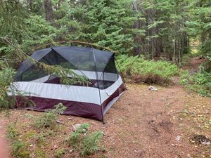 Tent_on_site_41_Connors_Island.jpg