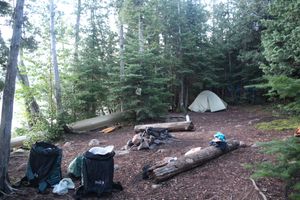 Campsite #824