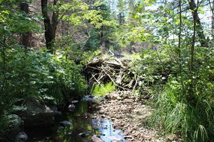 Portage #801 stream crossing