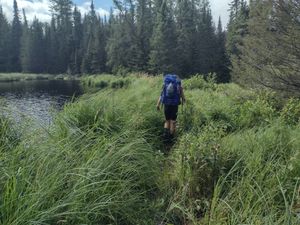 Beaver Dam trail