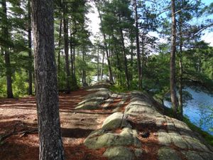 Bonnechere 1