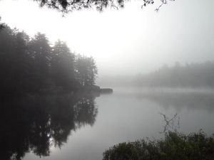 Bonnechere 2