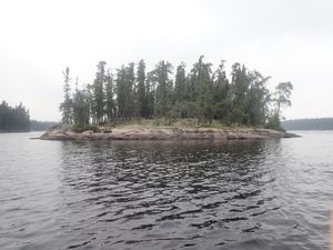 sm1