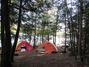 SITE #730