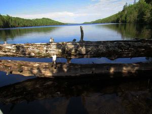 WEST END OF PINE