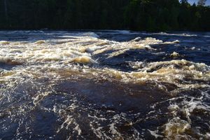 McAree Rapids
