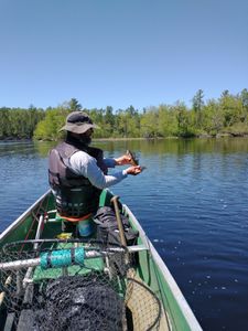 FISHING PIPESTONE