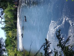 PIPESTONE PORTAGE OVERLOOK