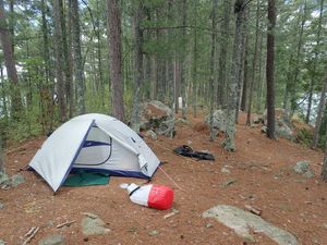 tent space in pines