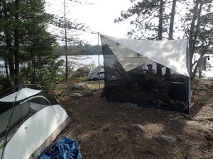 plenty of room for two
