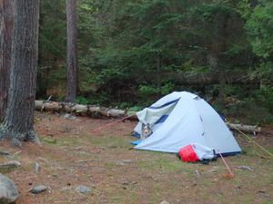 Many tent options
