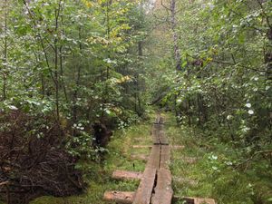 Misquah - Little Trout Portage