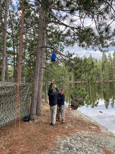 McDougall Campsite