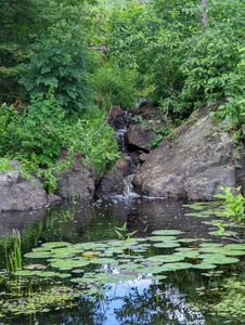 Hidden Trickle Falls