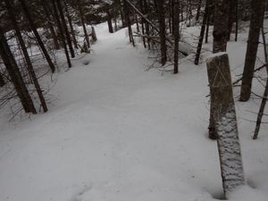 Benezie camp #2247 post