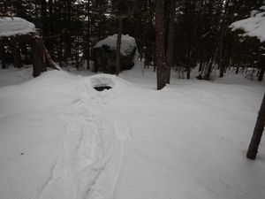 Benezie camp #2247