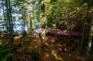 Canoes on Shore