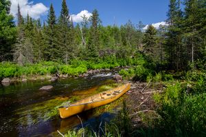 LIS Rapids