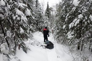 Snowy Trail