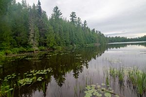 Totem Lake