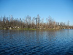 Burned Shoreline