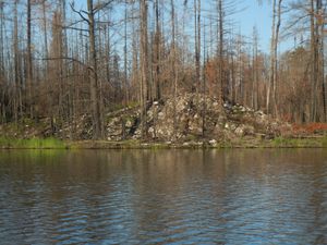 Burned Shoreline (Close up)