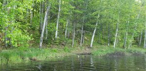 Klondike landing from McInnes