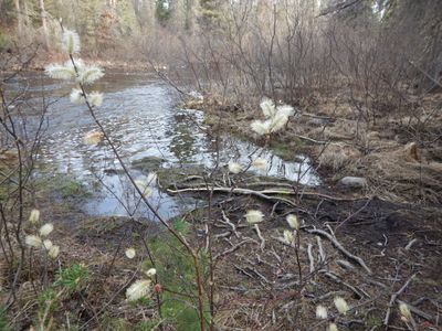 Snake river portage downstream landing