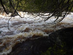 Isabella River rapids